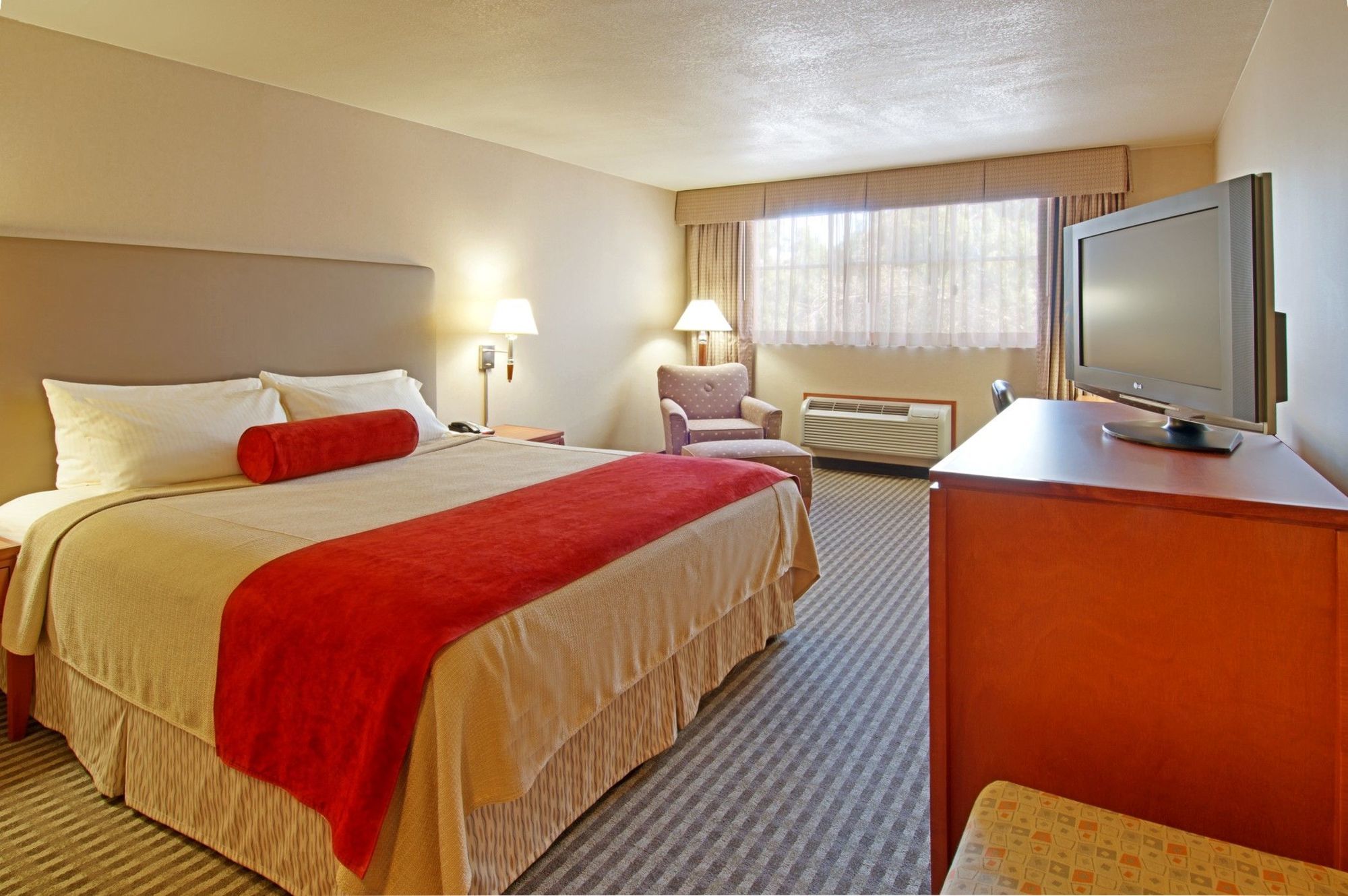 เกทเวย์ โฮเต็ล ซานตามนิกา Hotel ซานตาโมนิกา ห้อง รูปภาพ